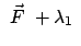 $\displaystyle \
\vec{F}  + \lambda_1  $